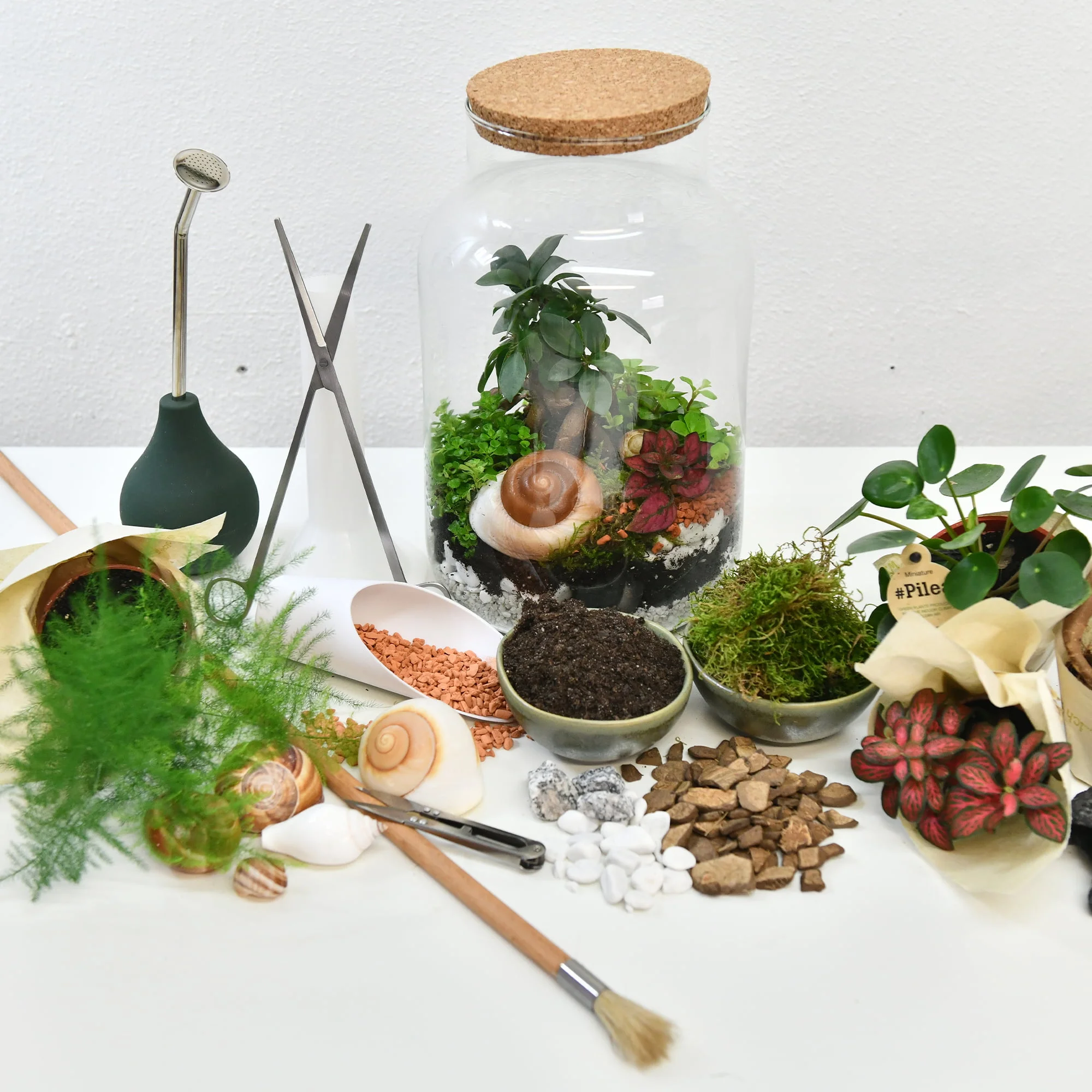 Terrarium DIY kit+terrarium scissors • Atelier Créatif Petra